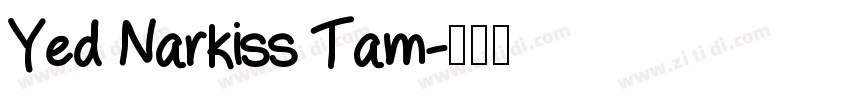 Yed Narkiss Tam字体转换